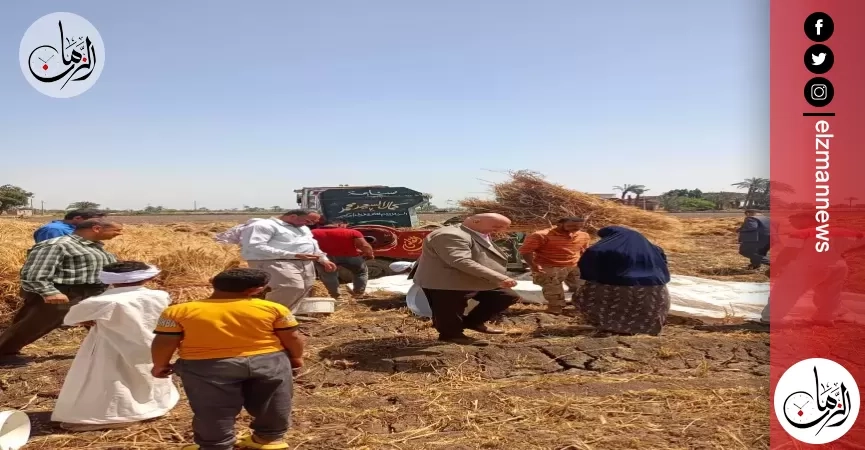 الإصلاح الزراعي يتابع حصاد القمح بالمحافظات