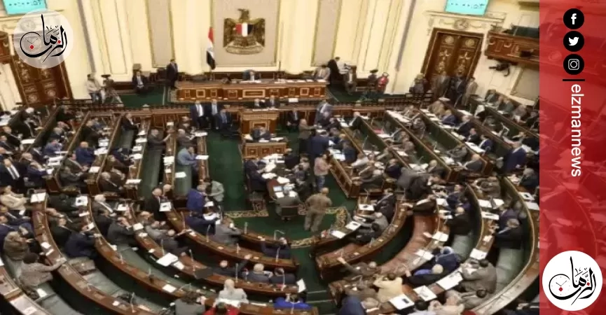 الحكومة تستجيب لزراعة النواب: صرف باقى مستحقات مزارعى القطن خلال 24 ساعة