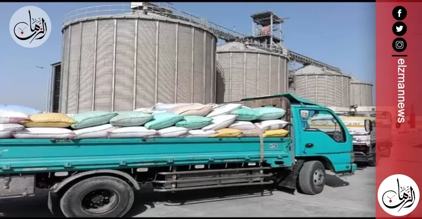 استمرار استقبال محصول القمح المحلي.. وتوريد ٥٧٦٨٣٣ طن و ٣٣٣ كيلو للمواقع التخزينية بالشرقية