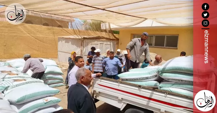 بحوث الصحراء والفاو يوزعان 50 طنًا من الأعلاف لدعم الثروة الحيوانية بجنوب سيناء