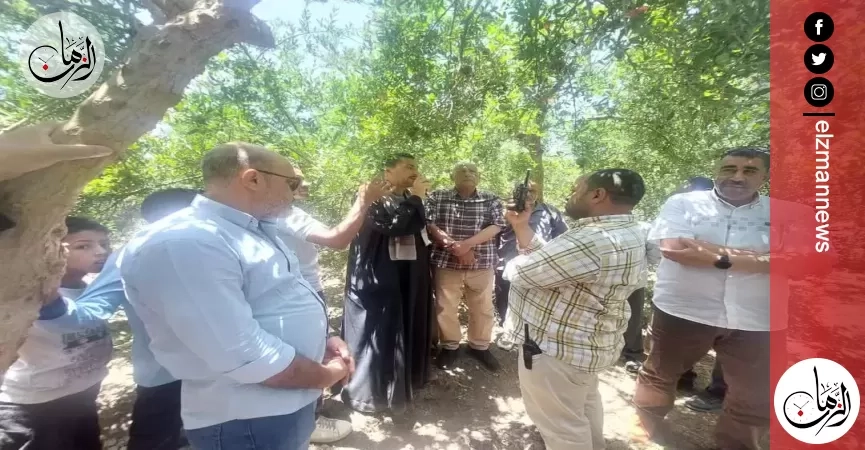 محافظ أسيوط: لقاءات دورية مع مزارعي الرمان لبحث التحديات ودعم الصناعة الزراعية