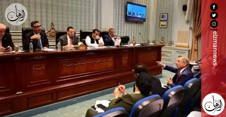 رئيس زراعة النواب: طفرة في المحاصيل الاستراتيجية بعد تحديد أسعار التوريد