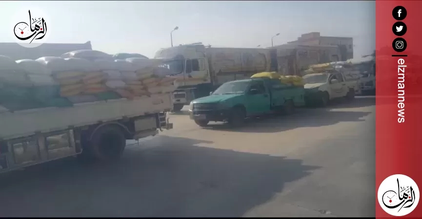 منذ بداية الحصاد...صوامع وشون الشرقية تستقبل٦٠٣٥٤٥طن و ٢٠٦ كيلو من الأقماح المحلية