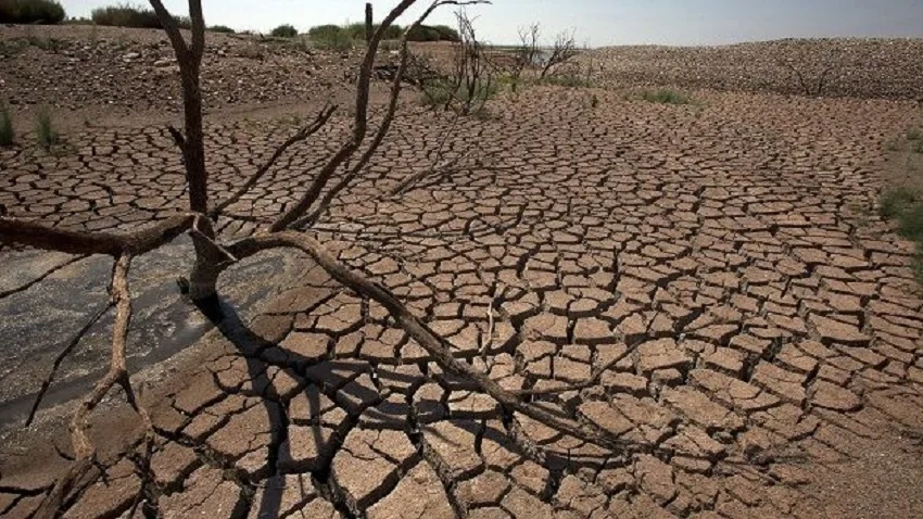 ندرة المياه تهدد الزراعة بسوس ماسة رغم مكانتها الريادية