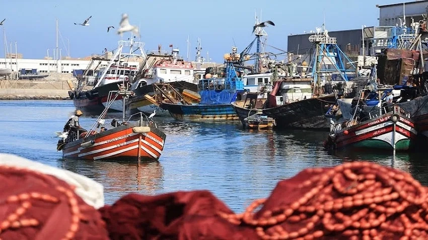 أكادير: تجاهل قضايا البحارة ومشاكلهم في معرض 'أليوتيس' يخلف ردود فعل غاضبة في صفوف المهنيين