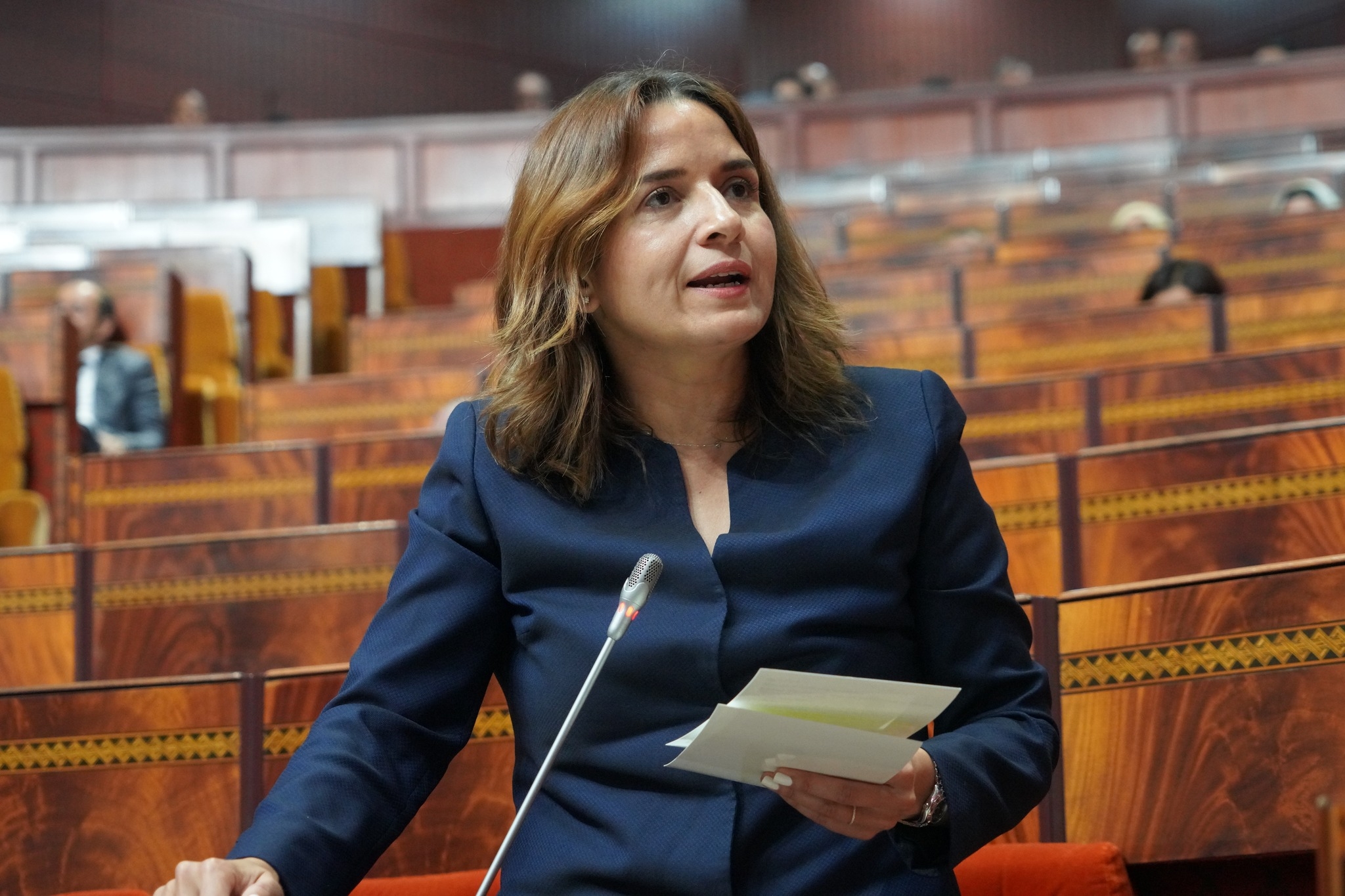 توقيف الربط بالشبكة الكهربائية ببعض دواوير تزنيت يسائل الوزيرة بنعلي