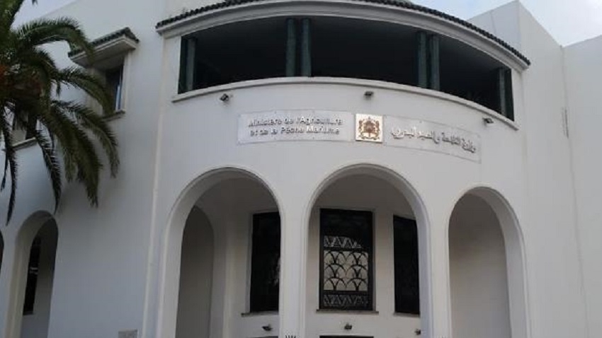 التحركات الجديدة لـ 'لوبي' المواشي تربك الأسواق، وسط دعوات إلى تدخل وزارة الفلاحة