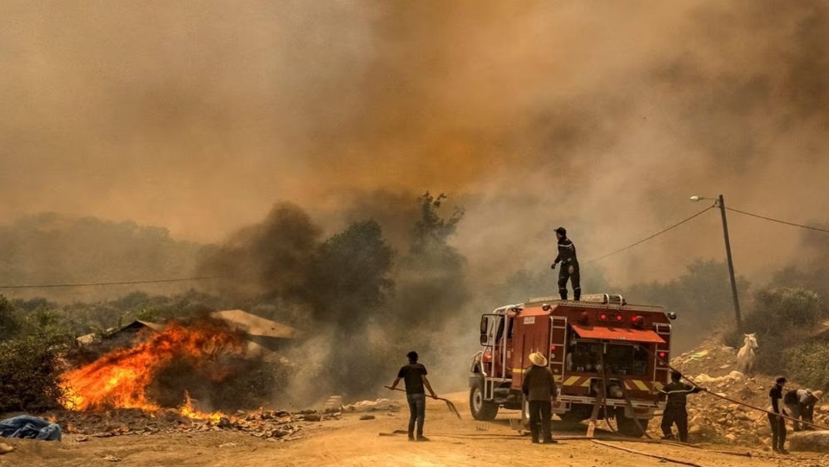 وكالة المياه والغابات تكشف حصيلة اندلاع 8 حرائق بالمغرب في يوم واحد