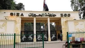 افتتاح حديقتي «الحيوان والأورمان» سبتمبر المقبل