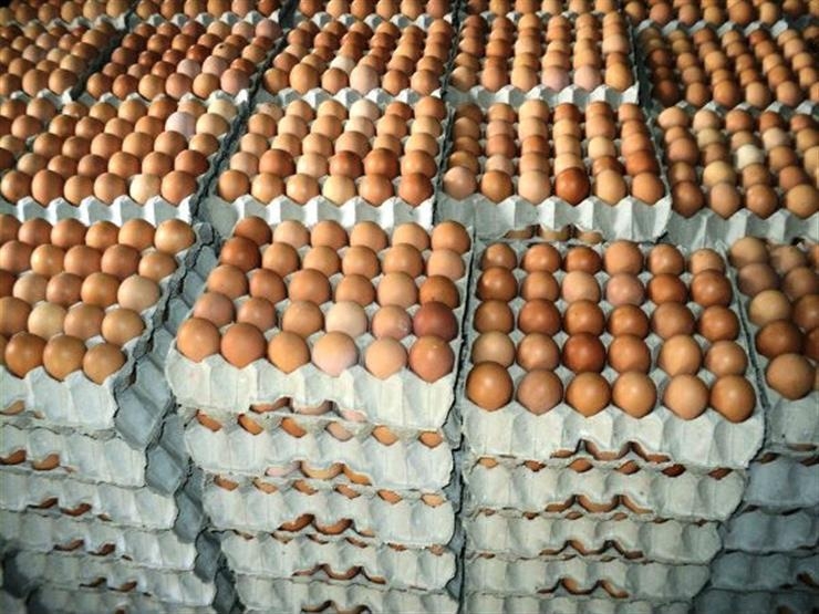 مفجأة.. كرتونة البيض تنخفض 40 جنيهاُ