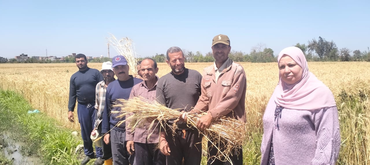 بحوث الأراضى والمياه  يواصل دعم التنمية الزراعية بمصر