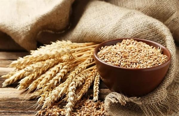 تعرف علي أسعار الحبوب اليوم في البورصات العالمية