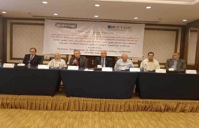 افتتاح ورشة عمل لمشروع استنباط أربعة أصناف قمح جديدة عالية الإنتاجية