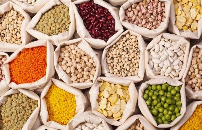 أسعار الحبوب عالمياً اليوم الأحد 17-8-2025