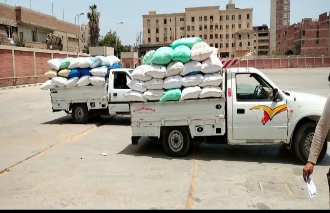 تموين الشرقية: الإنتهاء من توريد 605 ألف طن قمح محلي
