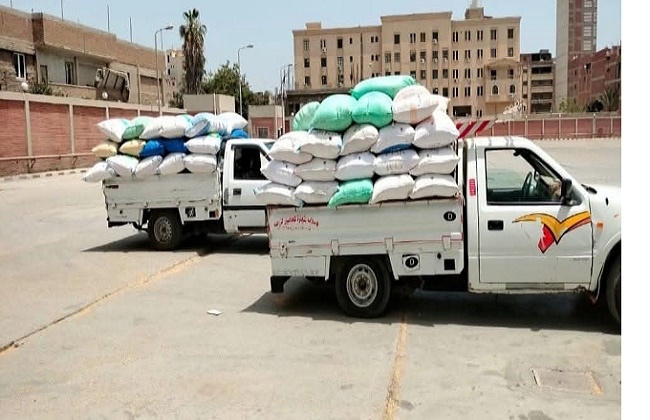 إنتظام عملية توريد القمح بالشرقية
