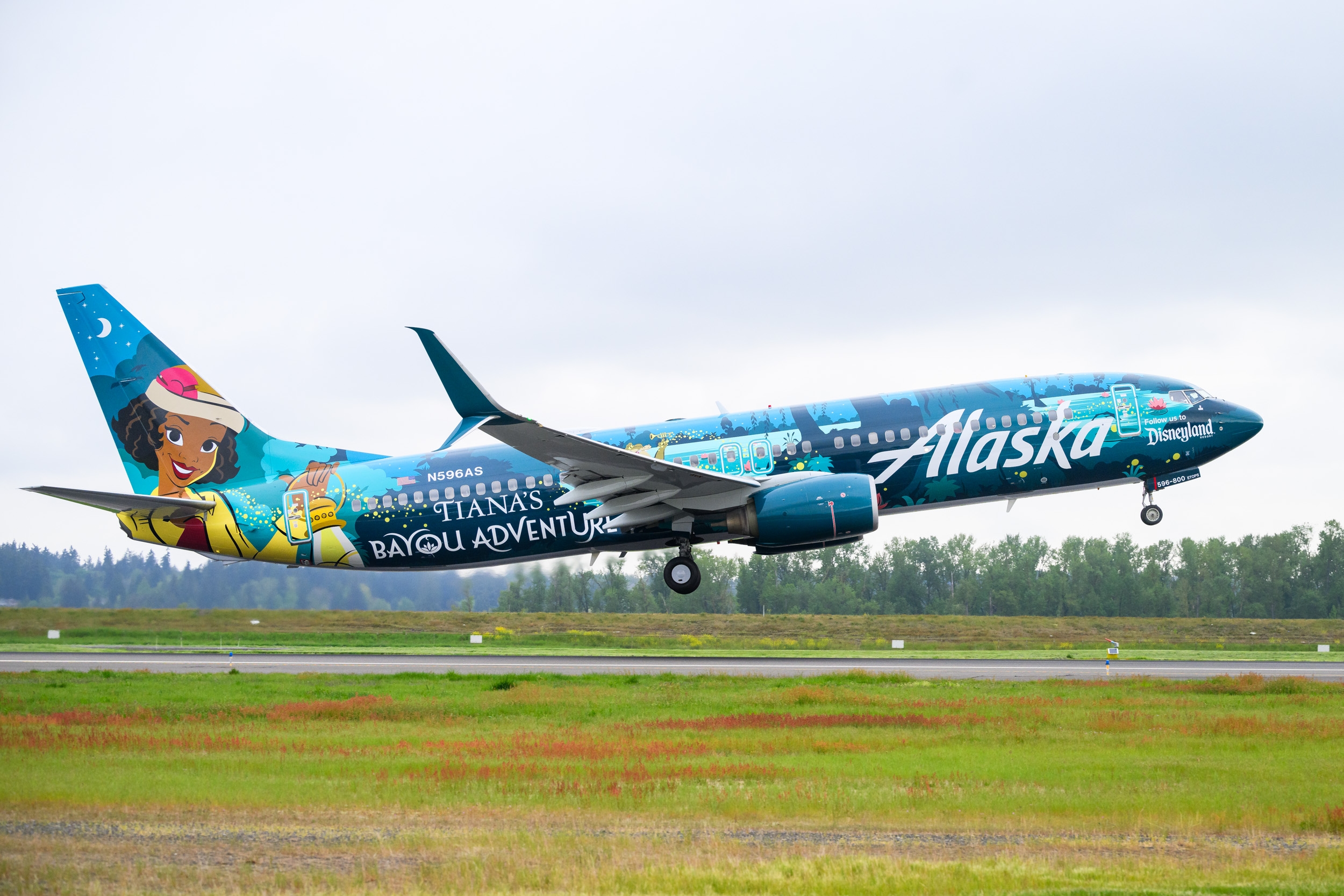 American, Alaska, Southwest: Who Came Out on Top?