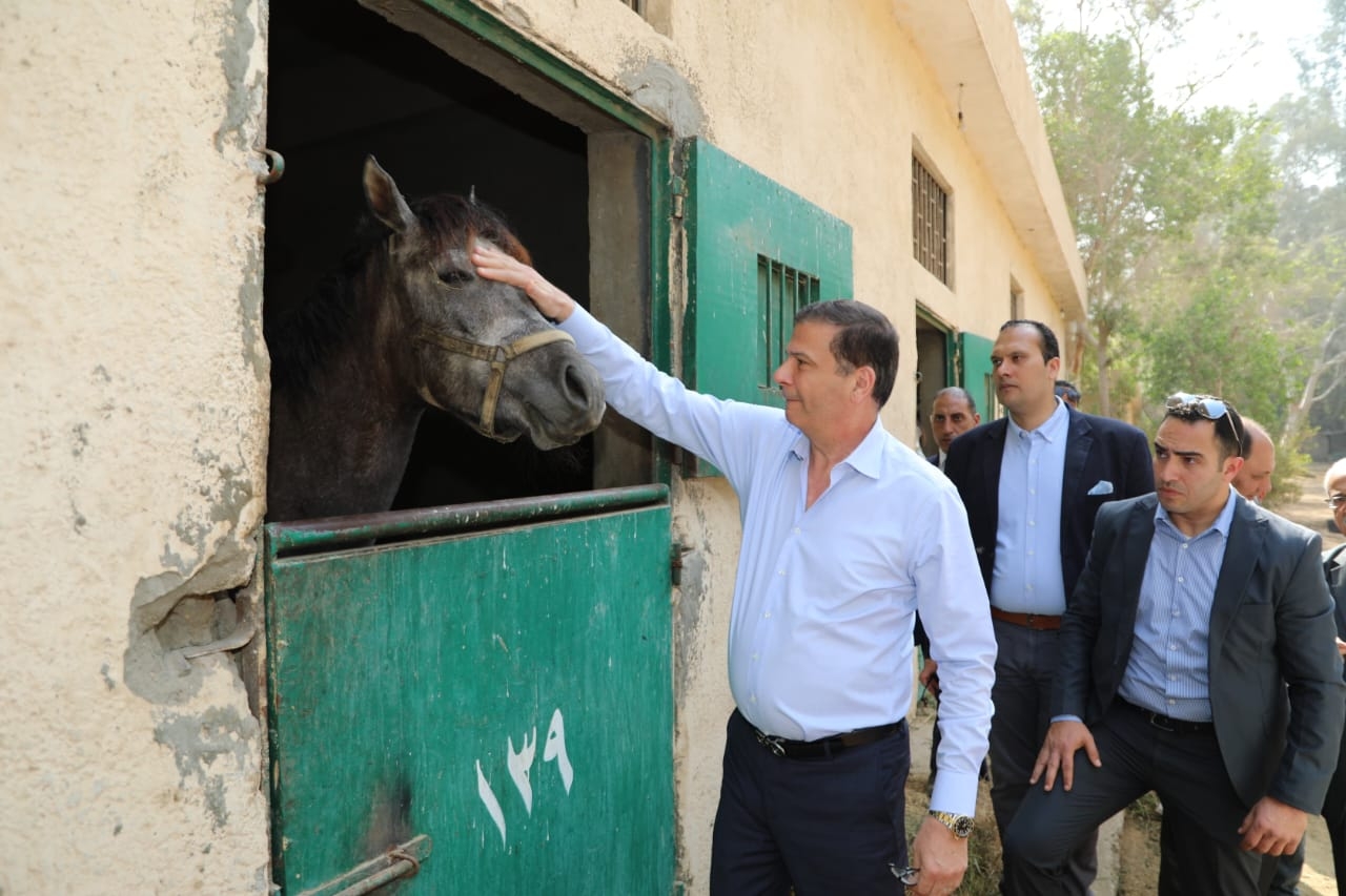 وزير الزراعة ومحافظ القاهرة فى محطة الزهراء للخيول العربية الأصيلة