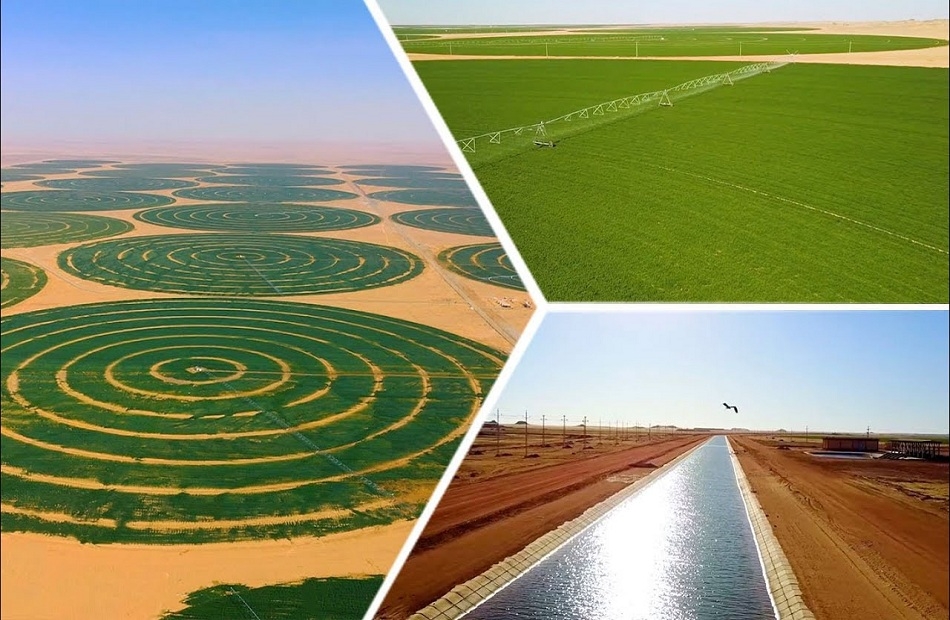 توسع تاريخي في الرقعة الزراعية .. تجهيز 500 ألف فدان في توشكى للاستثمار الزراعي