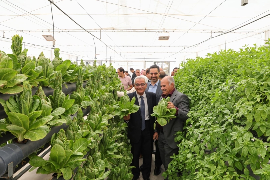 الجامعة الهاشمية تنجز مشروع الزراعة المائية الذكية دعماً للبحث العلمي التطبيقي
