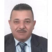 د. ماجد الخواجا : غزو البلاهة