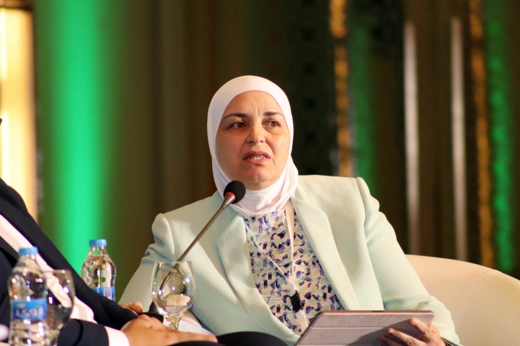 أمين عام وزارة الطاقة: قانون الكهرباء الجديد يعزز التخزين ويكفل الشفافية