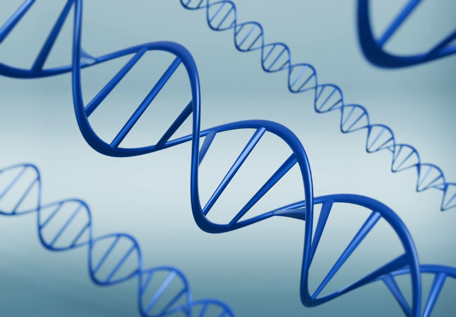 علماء كاوست يرصدون الخطوات الأولى لتفكك الحمض النووي DNA