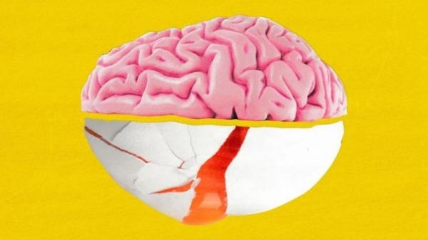 دراسات: البيض خيار مثالي لأحد العناصر المهمة لصحة الدماغ