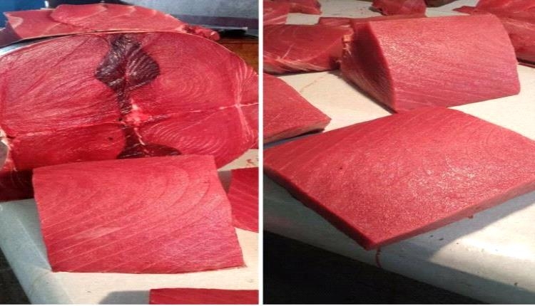 أسعار الأسماك في العاصمة عدن اليوم الثلاثاء 20 مايو