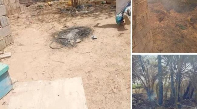 حريق يلتهم 180 نخلة و150 خلية نحل في مديرية شبام