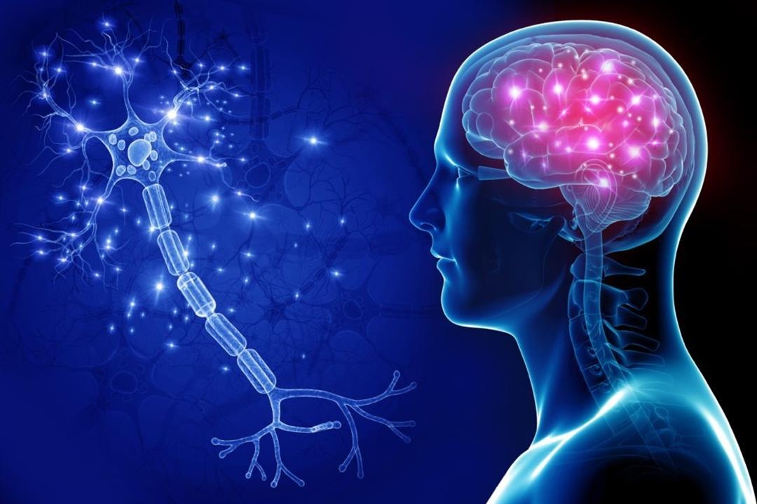 اكتشاف يكسر قيود الطب التقليدي في علاج الخلايا العصبية