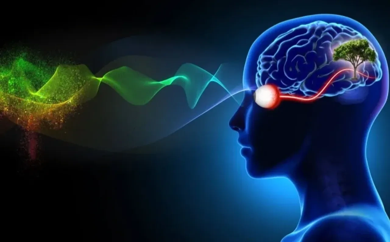 Can the Eye Reveal What the Mind Hides
