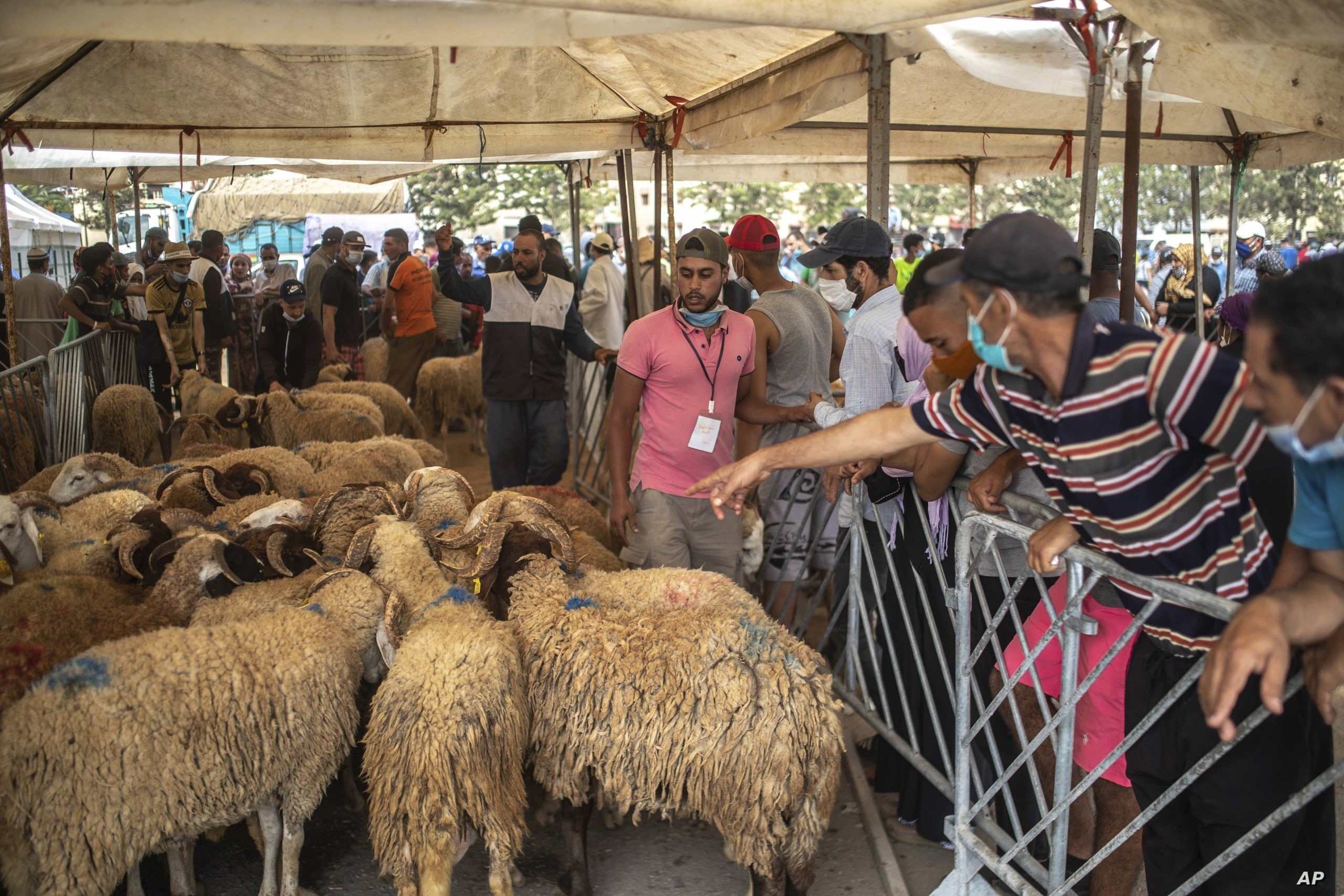 لحوم العيد بين الفوائد والمخاطر.. نصائح ذهبية لتناول آمن وصحي