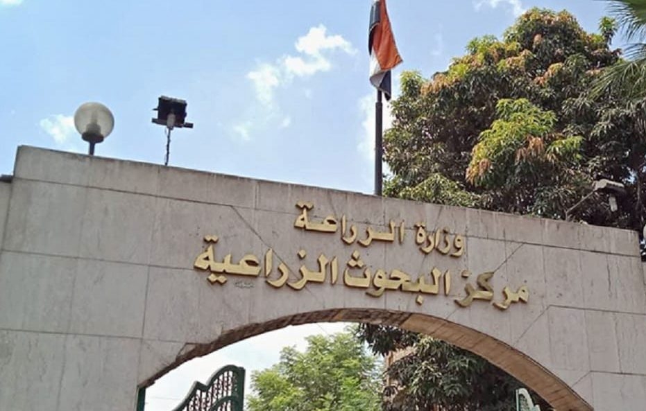 غدًا.. مؤتمر 'التكنولوجيا الحيوية ودورها في التنمية الزراعية'