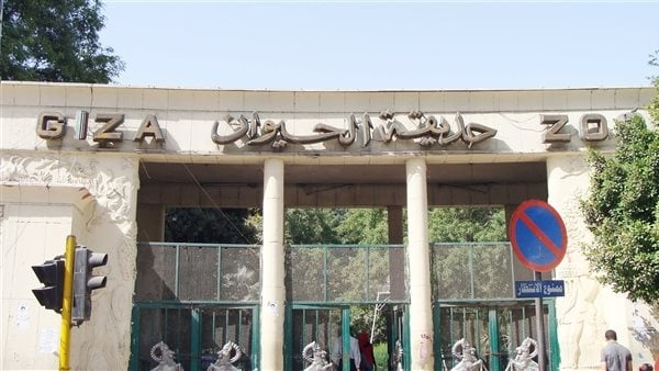لماذا تم إغلاق حديقة الحيوان بالجيزة؟.. اعرف بنود خطة التطوير