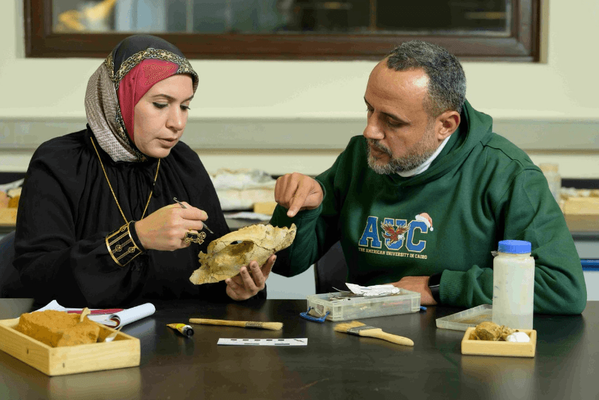 أستاذ حفريات بالجامعة الأمريكية يعلن اكتشاف جمجمة لآكل لحوم