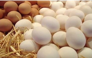 سعر طبق البيض في السوق المحلية اليوم الأربعاء 25-6-2025