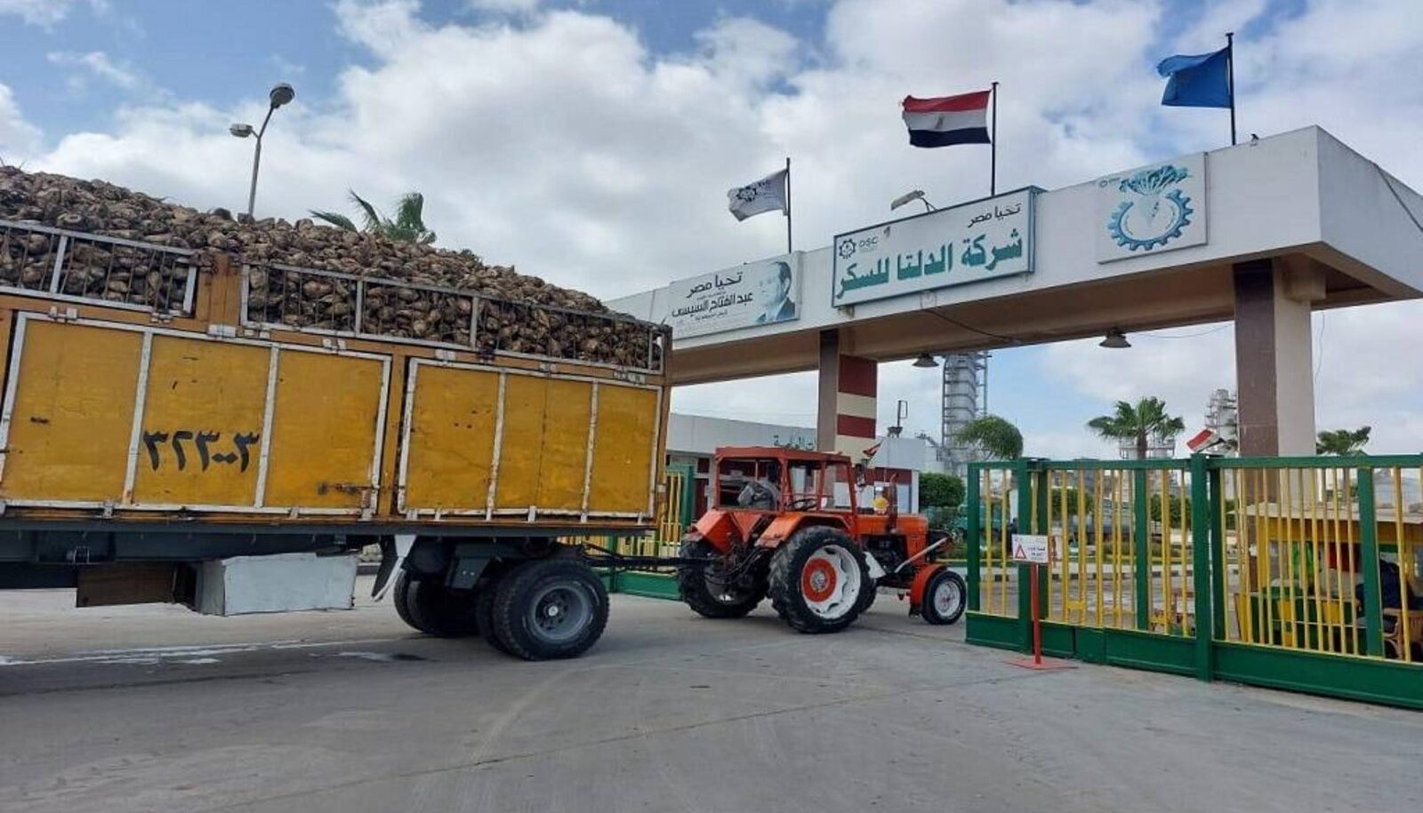 «الدلتا للسكر» توزع 3.5 جنيه للسهم رغم تراجع الأرباح