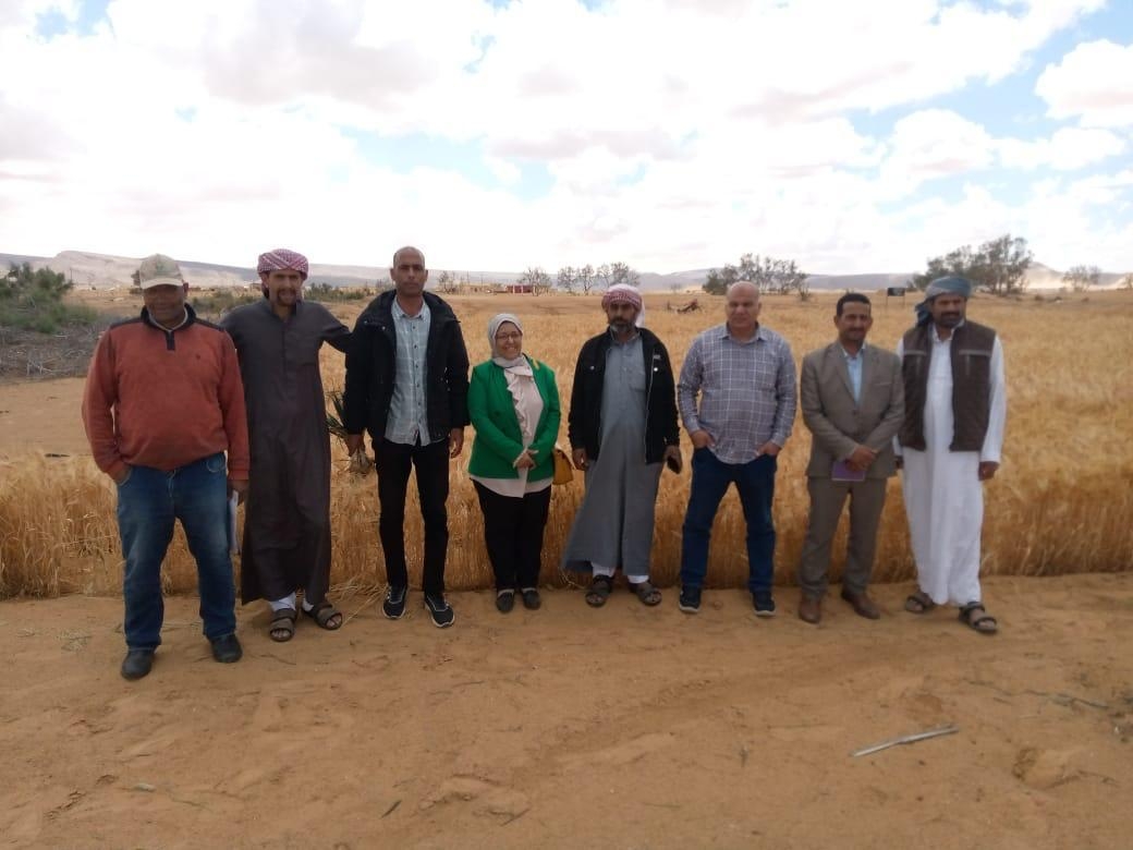 مركز بحوث الصحراء ينظم ورشة حول الزراعة العضوية فى سيناء