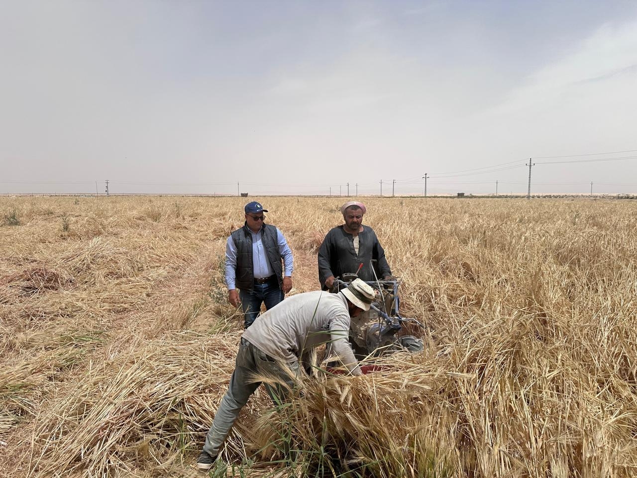«بحوث الصحراء» يواصل المرور الميدانى بالتجمعات الزراعية بسيناء