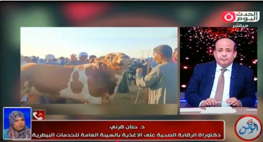 «الخدمات البيطرية» توجه نصائح للمواطنين عند ذبح الأضحية