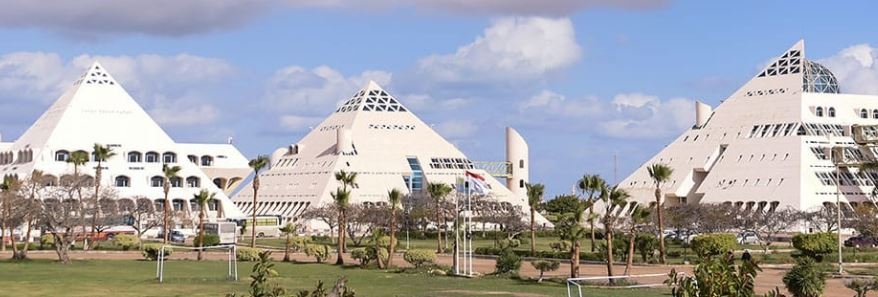مدينة الأبحاث العلمية تنظم ورشة عمل حول التطبيقات الصناعية