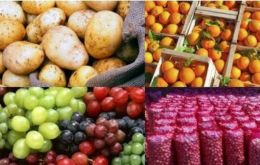 جنوب أفريقيا.. بوابة واعدة للصادرات الغذائية المصرية