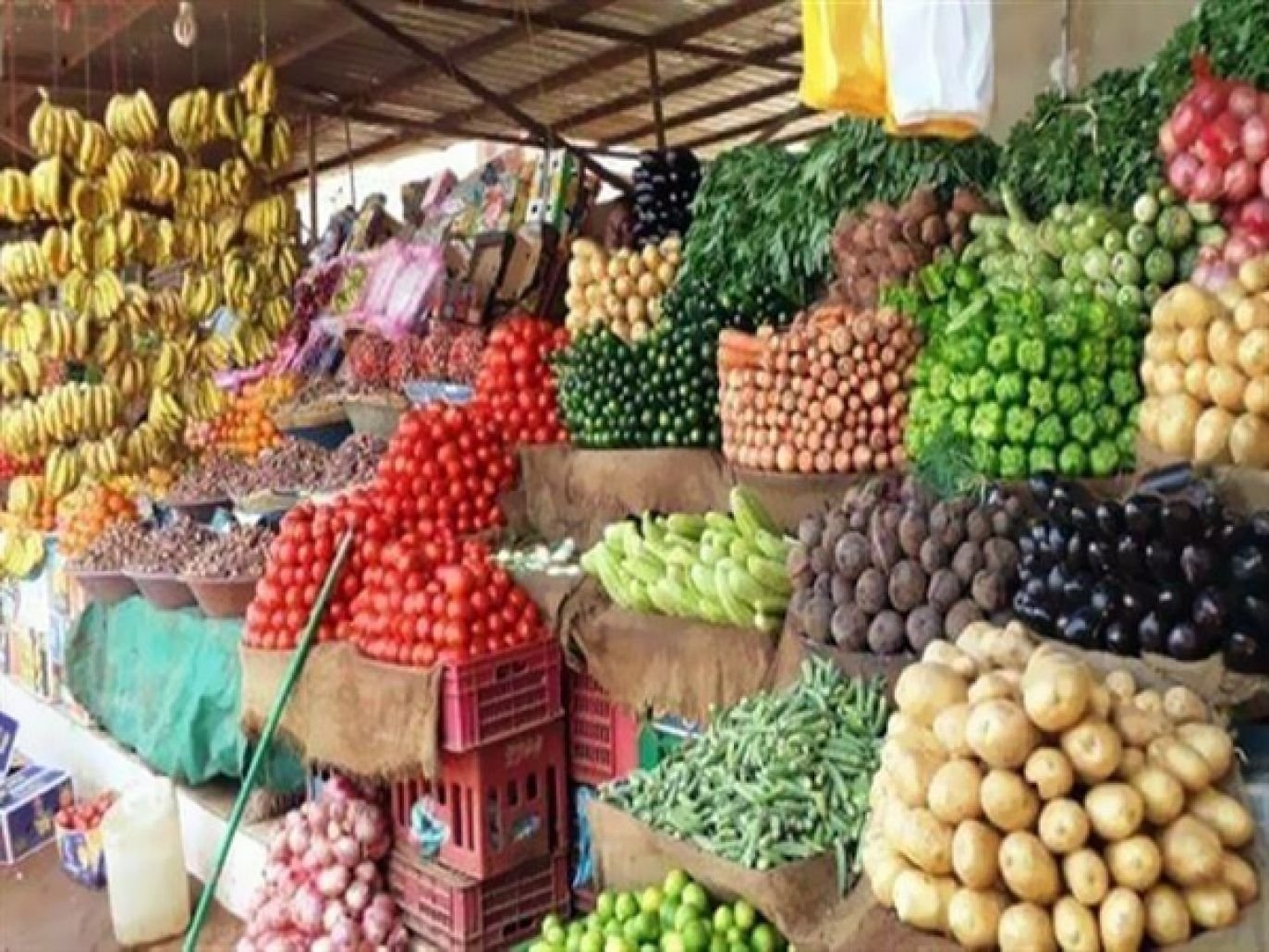 العنب والخوخ خارج قدرة المواطن.. والمستهلك يكتفي بالخضار
