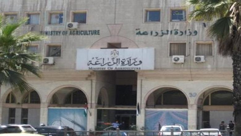 «الزراعة المصرية»: 30% انخفاضًا في واردات القمح