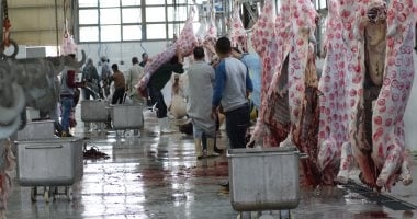 المجازر الحكومية تستقبل أكثر من 9800 أضحية خلال أول أيام العيد
