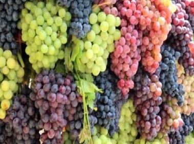 العنب بـ35 جنيهًا.. أسباب ارتفاع أسعار الفاكهة