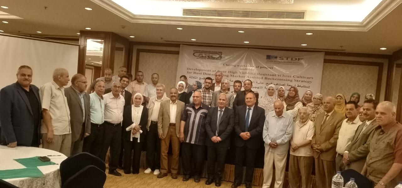 الزراعة تختتم ورشة لتطوير أصناف قمح جديدة عالية الإنتاجية