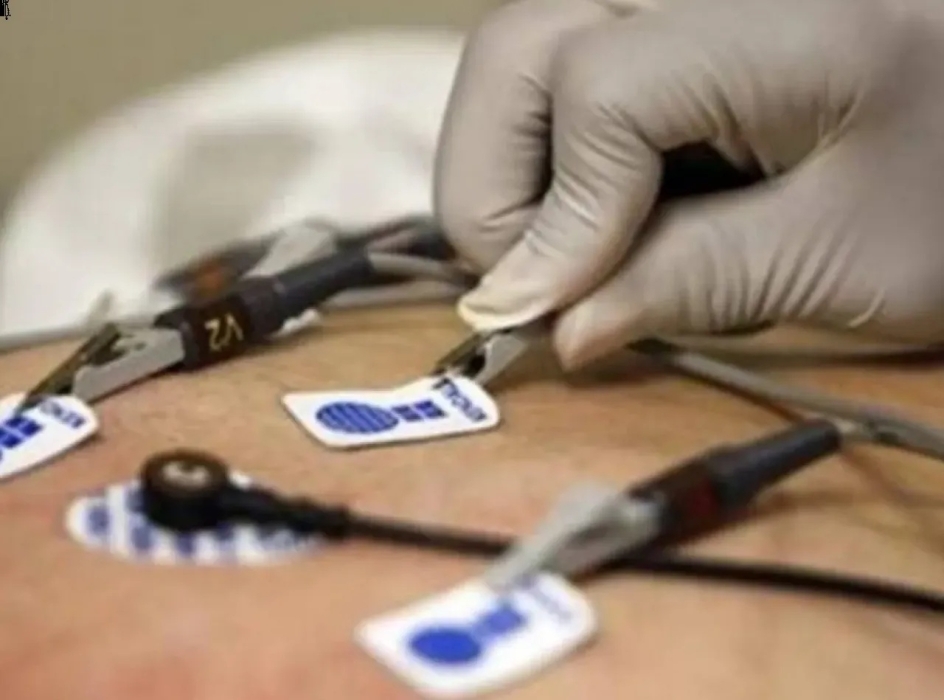 7 أطعمة يجب تناولها للحفاظ على شرايين القلب