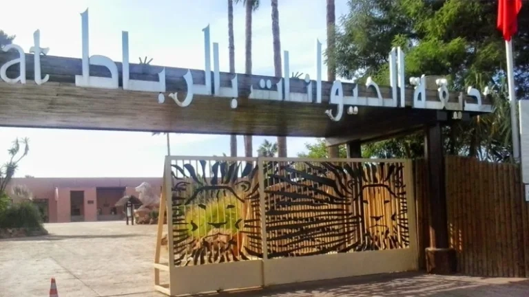 حديقة الحيوانات الوطنية بالرباط تعلن عن ولادة أزيد من 80 حيوانا منذ مطلع سنة 2025